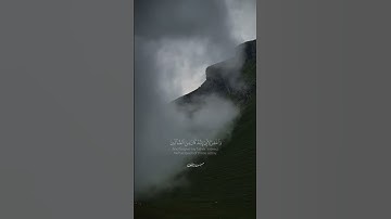 من سورة الشعراء سالم البوسعيدي | #القرآن_الكريم #اكسبلور #عمان #لايك #تلاوة_خاشعة #قرآن #quran