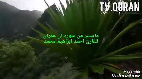 ماتيسر من سوره ال عمران للقارئ احمد ابراهيم محمد