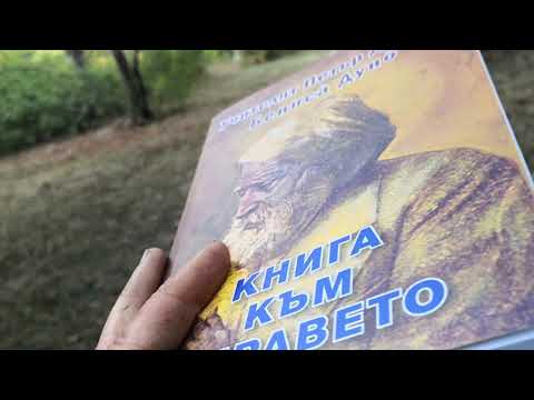 Гълъби без язва, хора с язва? Лечение с "Книга към здравето", без самолети и как останах без книга!
