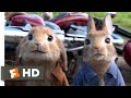 Peter rabbit  sorry scene  fandango family