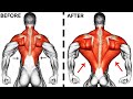 8 PERFECT EXERCISES BACK WORKOUT AT GYM 🎯