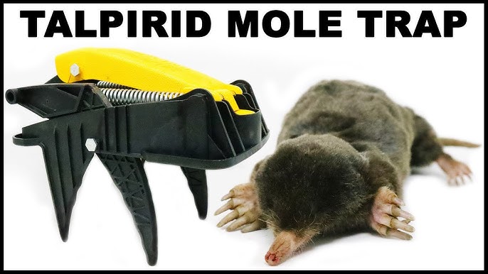 8,000 Volts Of Electricity End A Mouse Home Invasion. The OWLTRA Infrared  Trap. Mousetrap Monday 