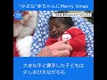 “小さな”赤ちゃんにメリークリスマス
