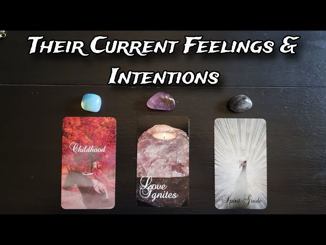 🦭🧁 Their Current Feelings u0026 Intentions Towards You ❤ Pick A Card Love Reading class=