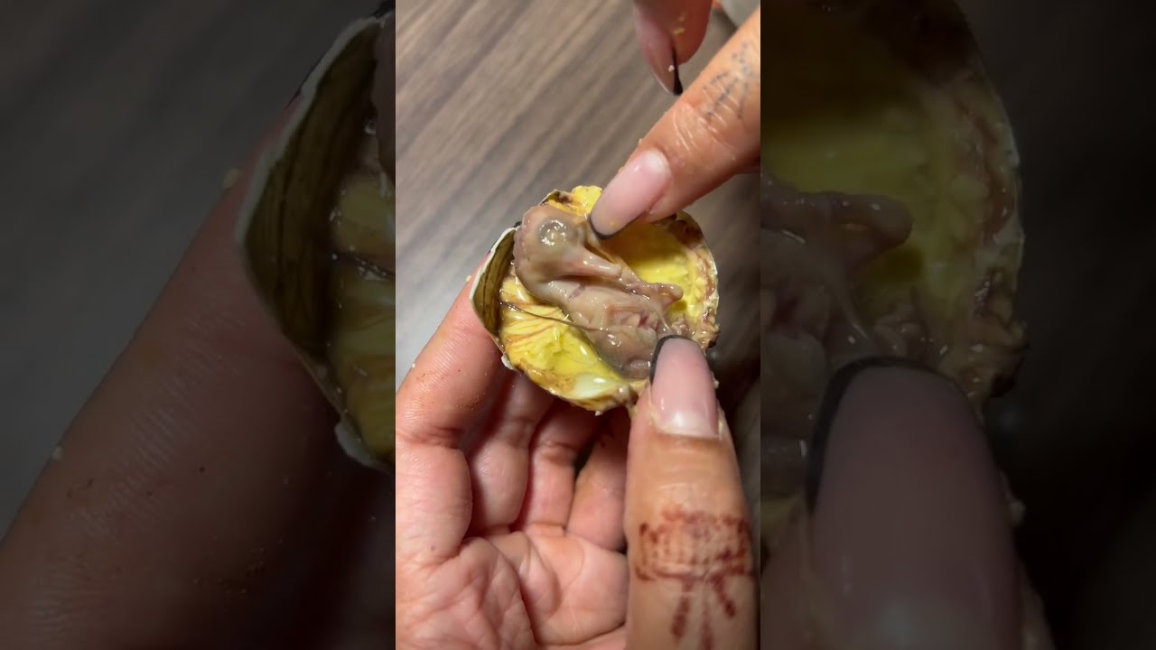 Whats Inside A Balut Egg Asmr Babyducks Asianfood Pinoyfood
