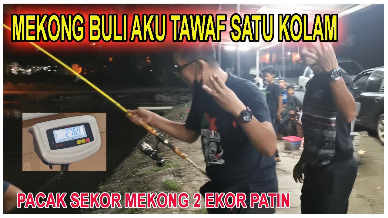 MEKONG BULI AKU TAWAF KOLAM | PACAK SEKOR MEKONG DAN 2 EKOR PATIN
