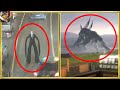 カメラに写った巨大生物10パート2