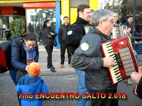 Caminata por calle Uruguay 7mo Encuentro de acordeonistas Salto 2018 doble sentido
