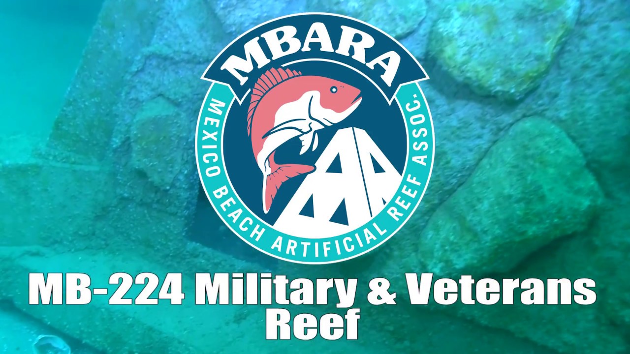 mexico primera division MB-224 Military and Veterans Reef