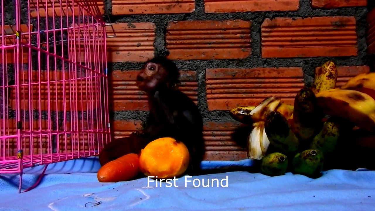 foundry Heidi Health Situation