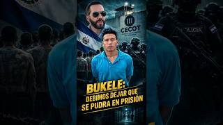 BUKELE ASUME LA CULPA: "Debimos dejar que se pudriera en la cárcel", era solo un niño: lo liberaron