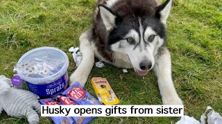 HUSKY opens gifts from his sister
