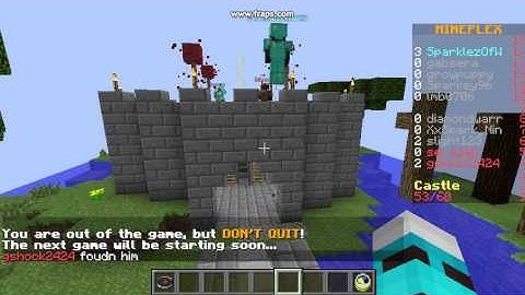 Another Mineplex hacker reporting