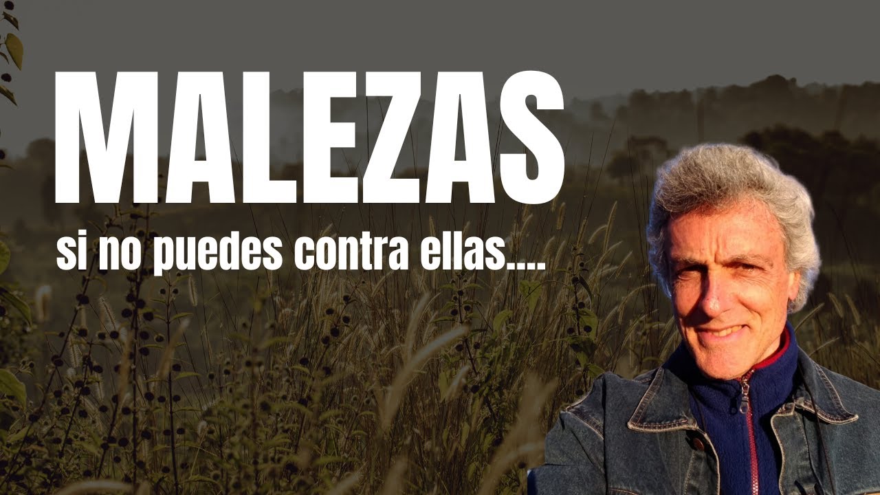 Malezas: si no puedes contra ellas....