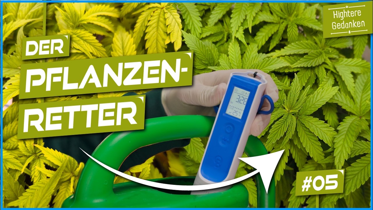 Grow voller Probleme 😱 Wir beheben pH, EC und Temperatur! - Folge 5