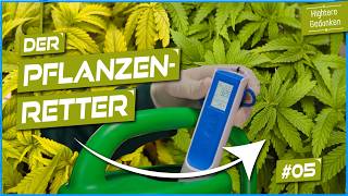 Grow voller Probleme 😱 Wir beheben pH, EC und Temperatur! - Folge 5