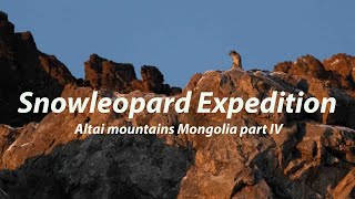 Snow Leopard Expedition Altai Mountains Mongolia Episode 4 | Stone Valley, gray Ghost in Mongolia