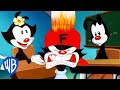 Animaniacs | The Warners are Back in School | Classic Cartoon | WB Kids