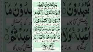 Surah Kafirun ki Tilawat #reciterquran #surahkafirun #tilawat #dailyrecitationofquran