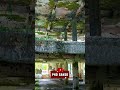 NACHT DER UNTOTEN EN LA VIDA REAL | PHD GANSO