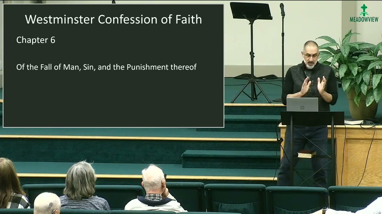 Westminster Confession 6 - The Fall, Sin, & Punishment