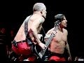 Red hot chili peppers  give it away brooklyn 2014 multicam