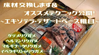 床材交換します&オススメテクニック公開！　〜エキゾテラ・デザートベース粗目〜