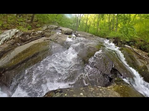 Mountain Minute - Paul's Creek Waterfall Hike by WintergreenResortVA