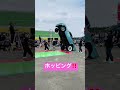 すげー！！ほぼ垂直ww #B2000 #ホッピング #lowrider #ローライダー
