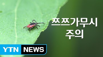 한가위 성묘길 