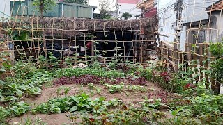 Make a Drip Watering System for Plants #BaThang2 #gardens