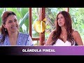 Pasos para ACTIVAR la GLANDULA PINEAL👁 | Mónica Rojas & DIANA ALVAREZ