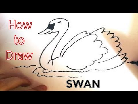 Video: Kako Nacrtati Labuda