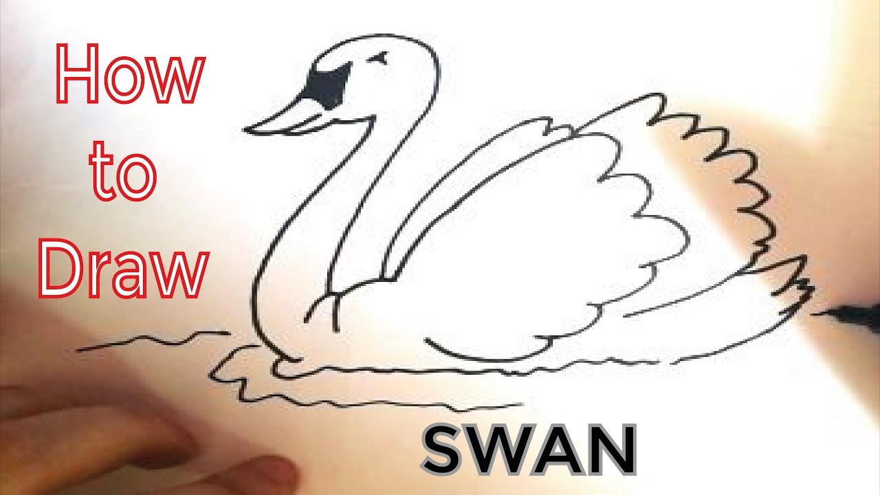 Kako nacrtati labuda - How to Draw an adorable Swan in the lake - YouTube