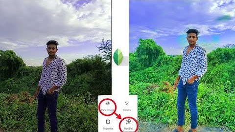 Snapseed Grey And Bird Effect Photo Editing Tricks 🔥 | Snapseed Background Colour Change Tutorial