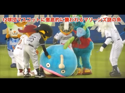 12球団マスコットに徹底的に襲われるマリーンズ謎の魚 Youtube