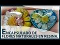 ENCAPSULADO DE FLORES NATURALES EN RESINA UV. Charms o colgantes de flores silvestres.