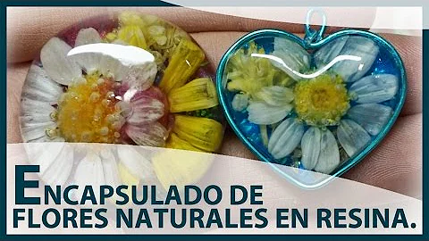 ¿Se pueden poner flores vivas en resina?