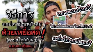 ❗วิธีการตกปลาช่อนหน้าดิน(เหยื่อสด) แบบละเอียด(ตามสไตล์บ้านๆ) How to fishing sneakhead fish