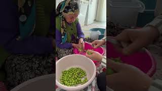 Elinden Uçan Ile Kaçan Kurtuldu Resimi