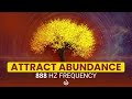 888 Hz Frequency for Abundance: High Frequency Music to Attract Abundance