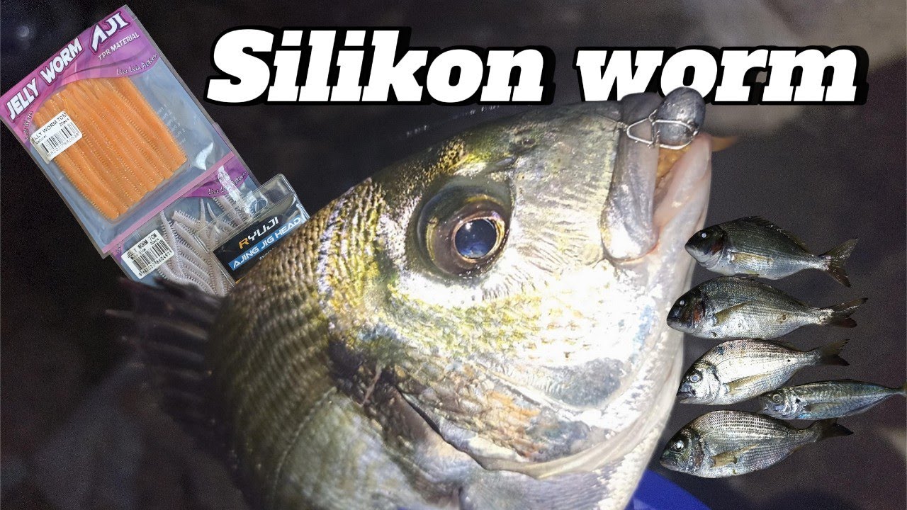 Silikon kurtçuk ile izmir körfezinde çipura avı teknikleri