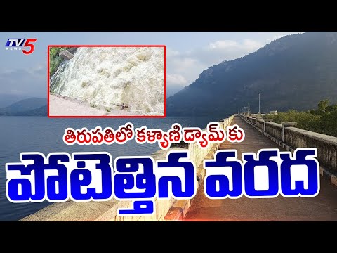 అంతకంతకు పెరుగుతున్న నీటి మట్టం Heavy Water Inflow To Kalyani Dam In Tirupati Due To Heavy Rains - TV5NEWS