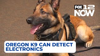 Oregon's first certified K9 that can detect electronics