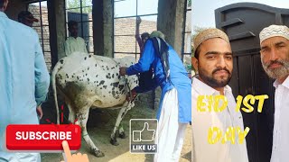 Eid 1st Day Qurbani ka athra janwar tha