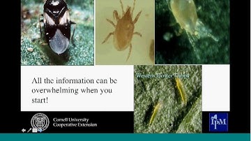 Using Biological Control I