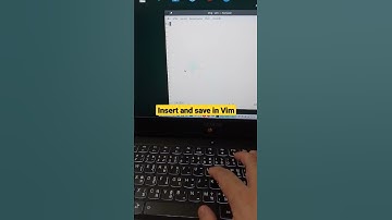 Insert and save in Vim