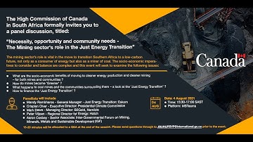 Panel discussion: The Mining Sector