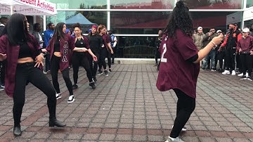 LTA Delta Zeta at ΦΒΣ & ΖΦΒ Yard Show 2017