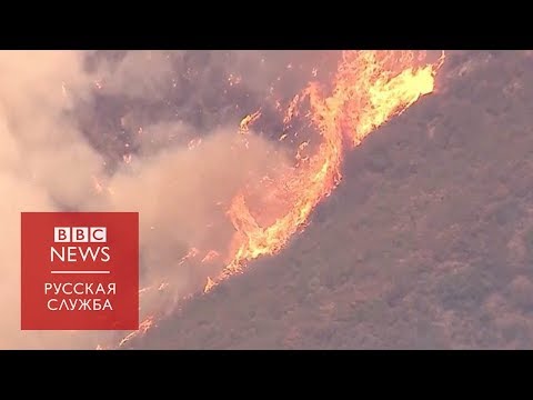 Видео: Когда в Калифорнии был шерстяной пожар?